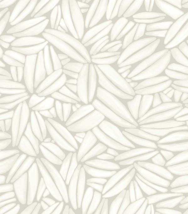 Succulente TP301 01