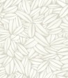 Succulente TP301 01