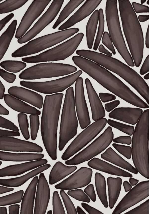Succulente TP301 02