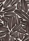 Succulente TP301 02