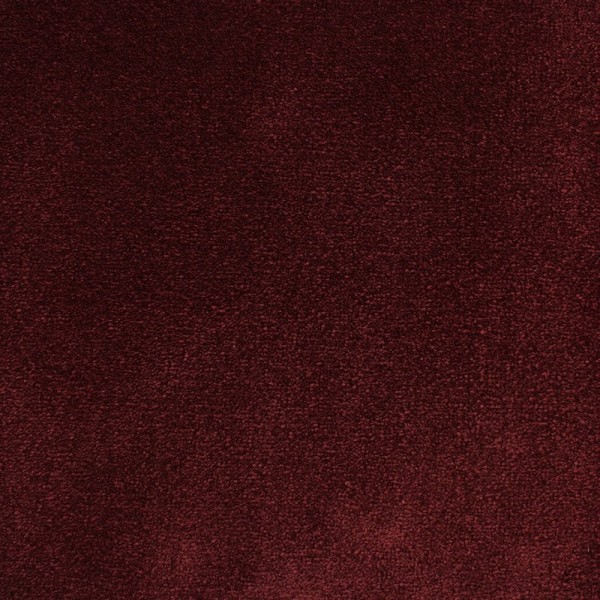 Koï 155 Kokoro Koï 155 Kokoro