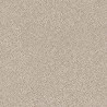 Parafuso 73900268