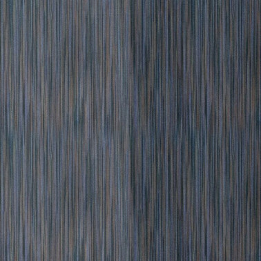 INF6607