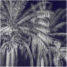 PALM GROVE MIDNIGHT DOM310-2