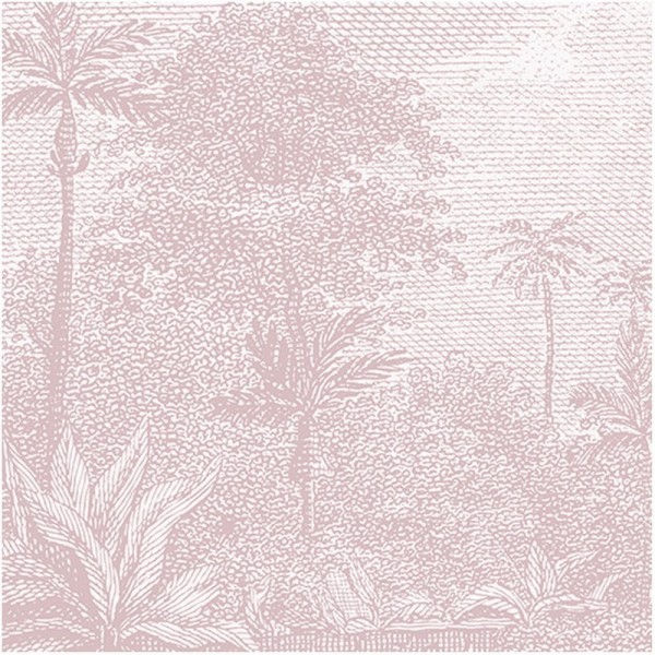 PALMAR PINK DOM308-2