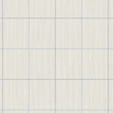 String On Window Pane Check YM30900