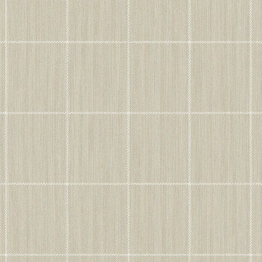 String On Window Pane Check YM30903