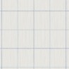 String On Window Pane Check YM30922