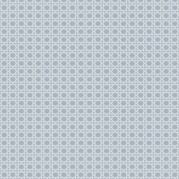 Wicker Screen Print With Raised Insk BL70922 Wicker Screen Print With Raised Insk BL70922