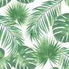 Jungle Fever 139013