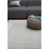 ASCOT SILVER