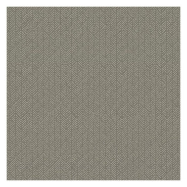 Woven Texture Grasscloth HC7583