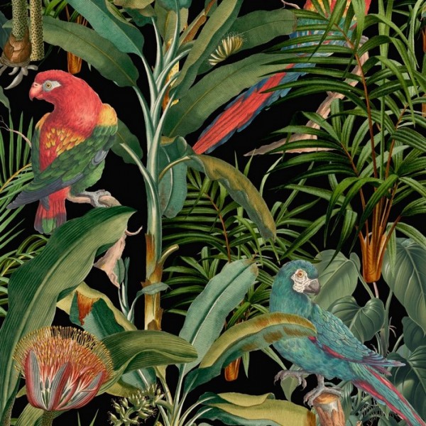 Parrots Of Brasil WP20522 Parrots Of Brasil WP20522