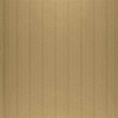 Trevor Stripe Gold PRL5014-02