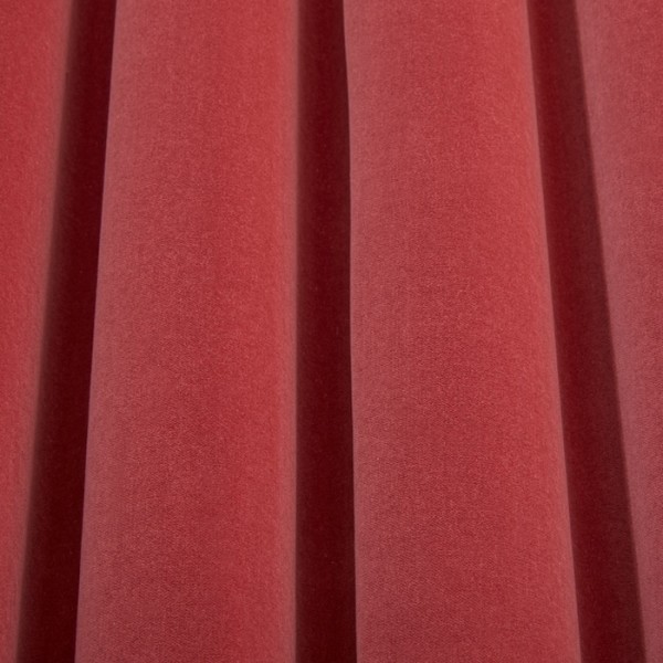 Colour Box Velvet Rose F111-11046