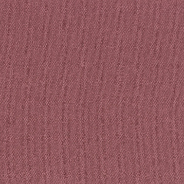 Taiga 45941747
