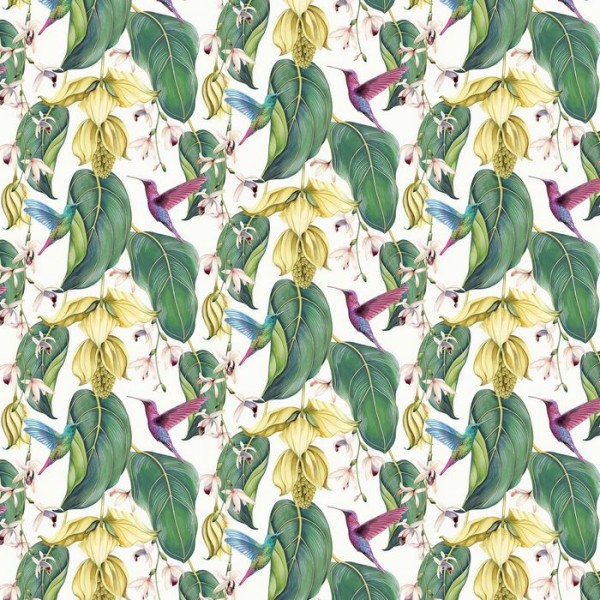 Trailing Orchid Outdoor f7443-01 Trailing Orchid Outdoor f7443-01