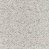 Maze Coral 332973