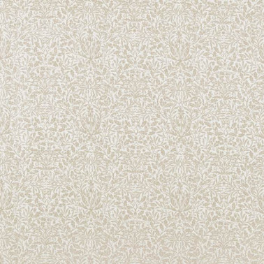 Pure Acorn 226062