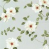 Poètes Rose 226737