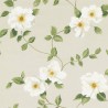 Poètes Rose 226738