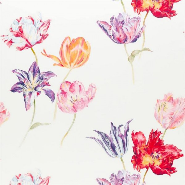 Tulipomania 226583 Tulipomania 226583