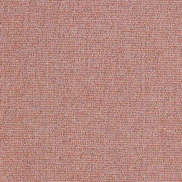 Acies Spice F1416-10 Acies Spice F1416-10