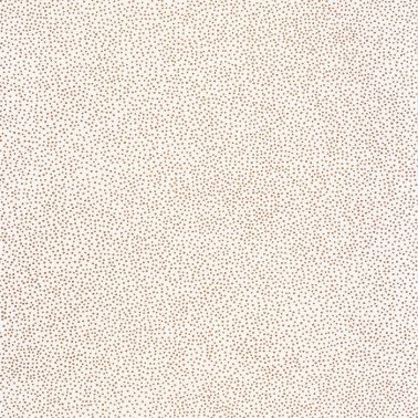 101730020