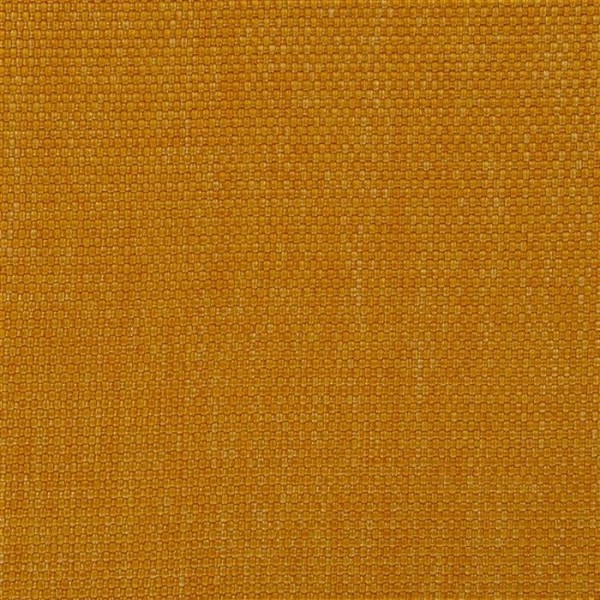 Salt Marsh Maize FRL5131-03
