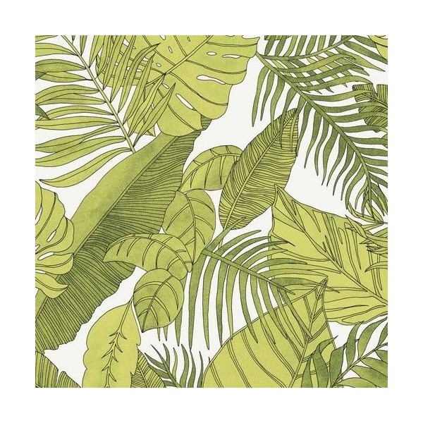 Tropical Tropical Lav105 Tropical Tropical Lav105
