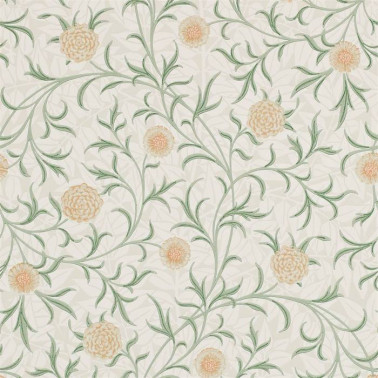 Scroll DCMW216831