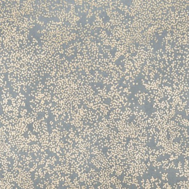 W424-06 Nyiri Andesite