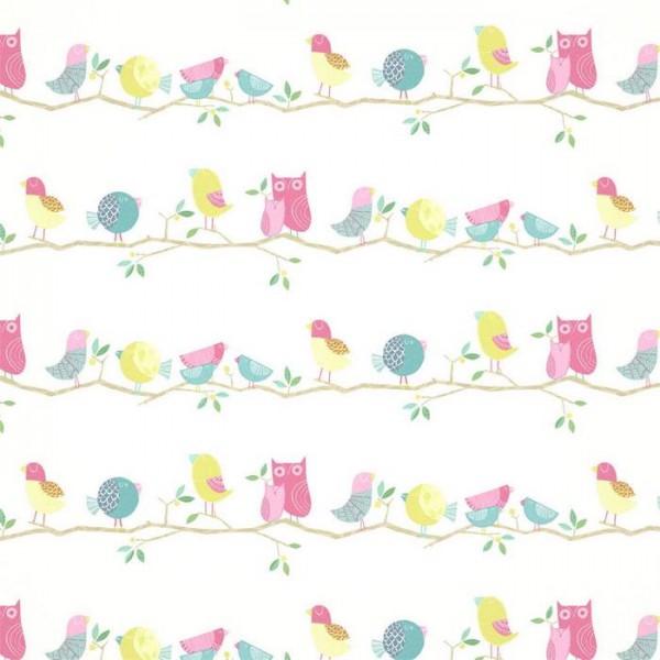 What a Hoot HLTF112650 What a Hoot HLTF112650