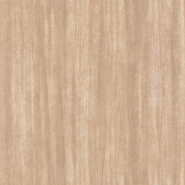 Eucalyptus 85981404 Eucalyptus 85981404