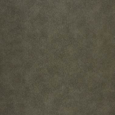Nervure 26219128