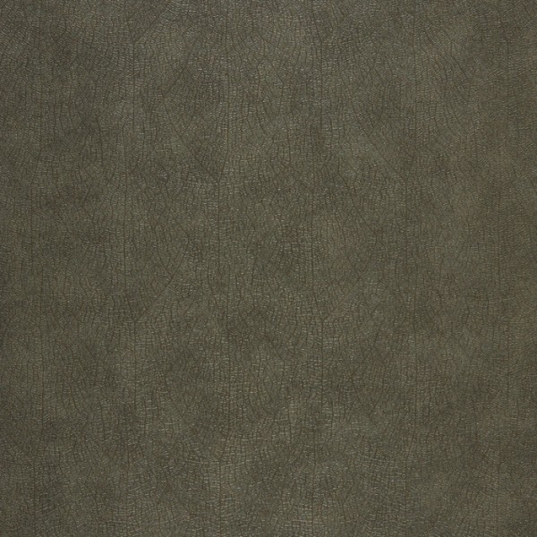 Nervure 26219128