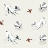Animaux de compagnie – Gris