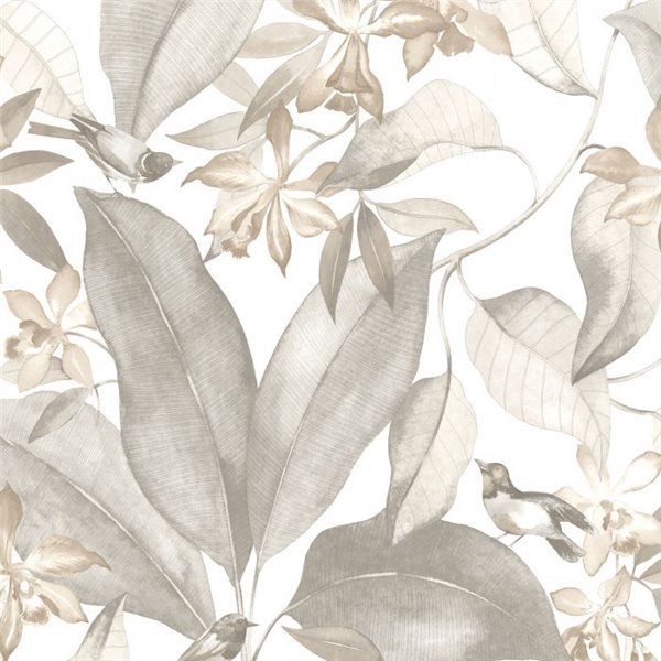 Delicacy Birdsong 85389242 Delicacy Birdsong 85389242