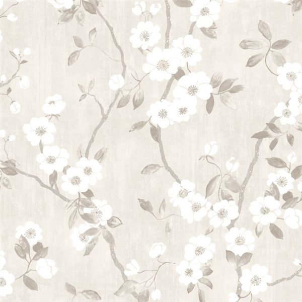 Delicacy Spring Flower 85399171 Delicacy Spring Flower 85399171