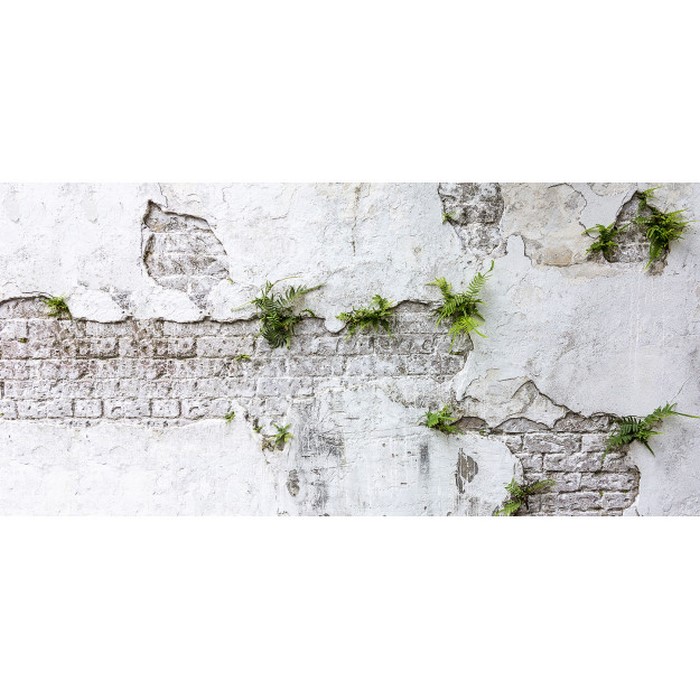 Plants & Brick Wall DOM406