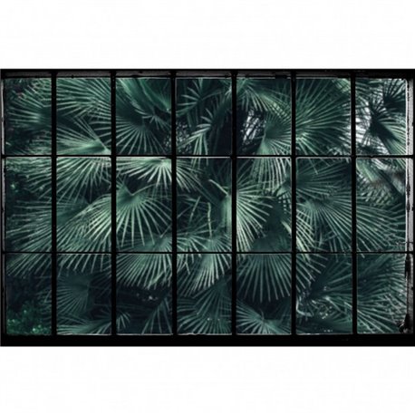 Tropical Window DOM435 Tropical Window DOM435