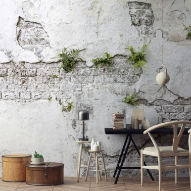 Plants &quot; Brick Wall...