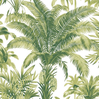Charleston Palms CN30704