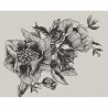 Giant Peonies Ink 9500700