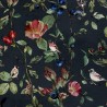 Goldfinch Song Night 9500033