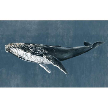 Humpback Whale Vintage 9500101