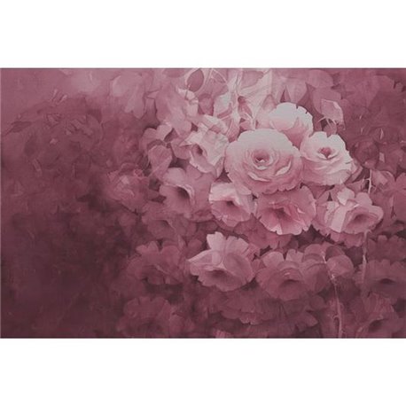 Harmony Fuchsia R17071 Harmony Fuchsia R17071
