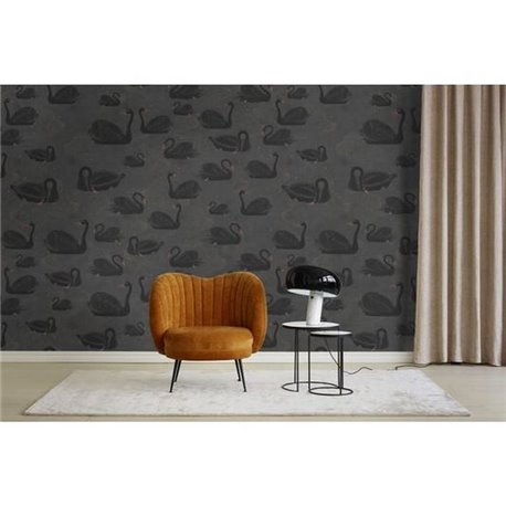 Cygne Noir R17121