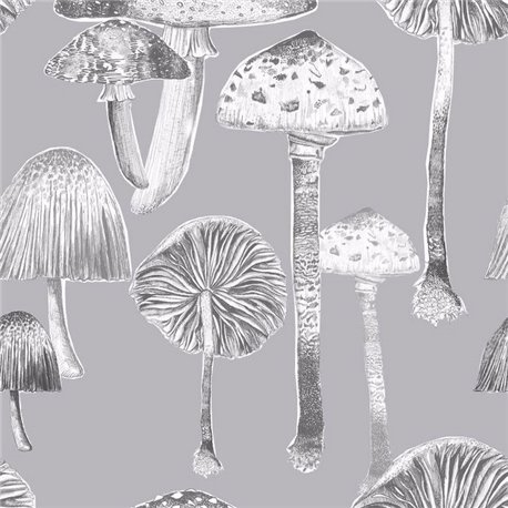 Toadstools Antique Toadstools Antique