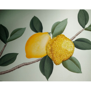 Lemon Grove Standard ou Ice...